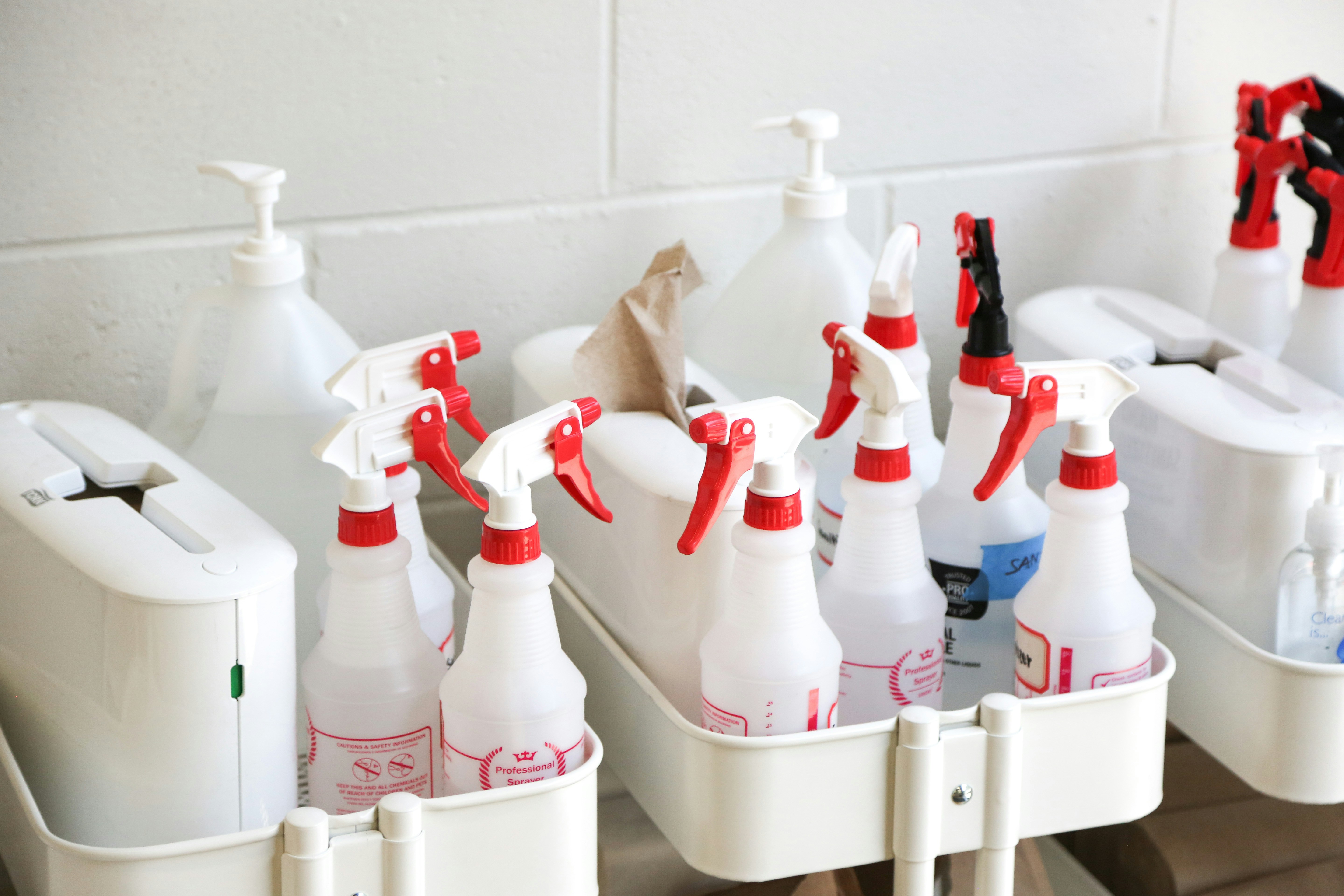 Eco-friendly cleaning products that are safe for family and pets