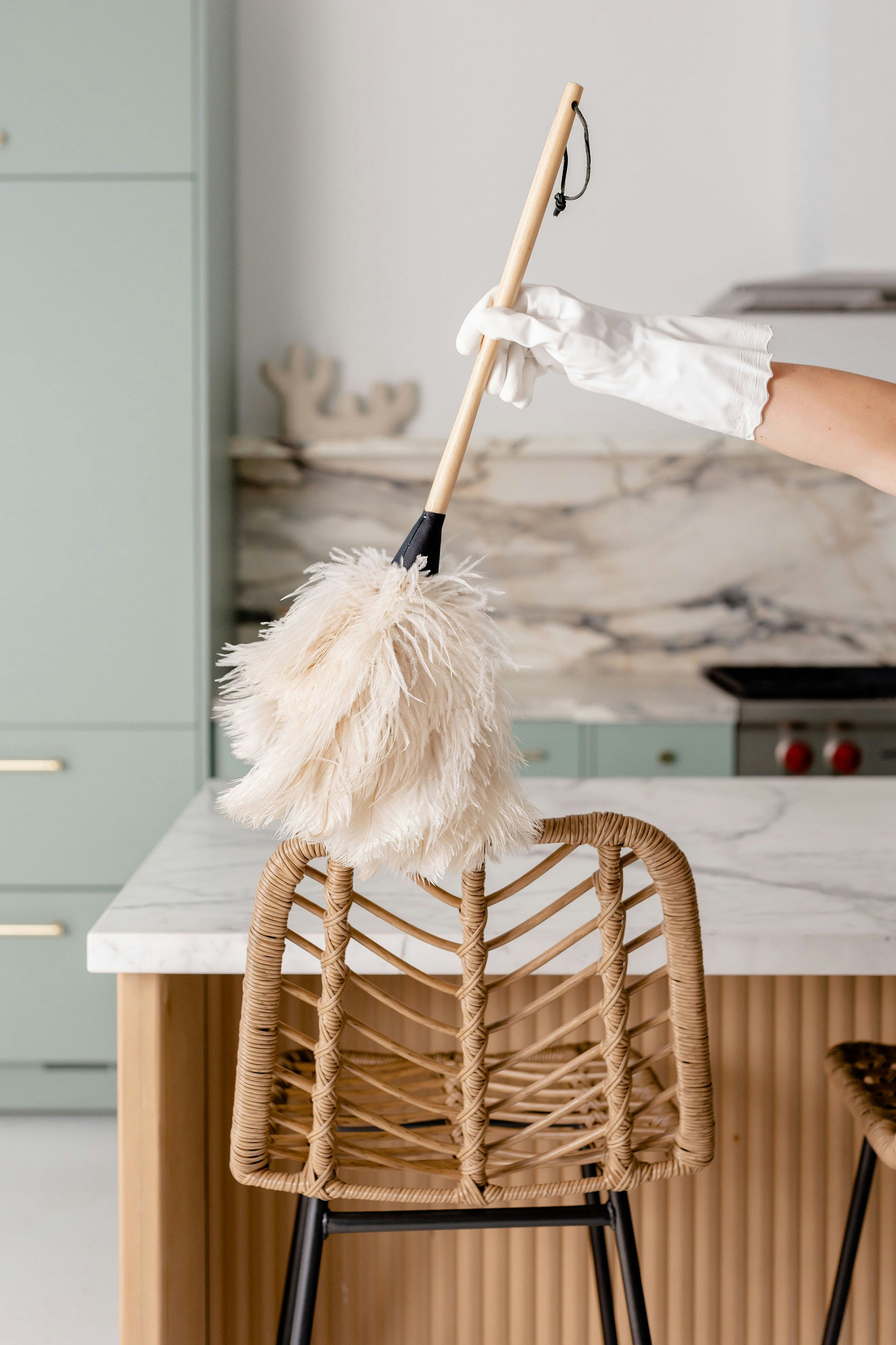 Professional deep cleaning service establishing clean baseline