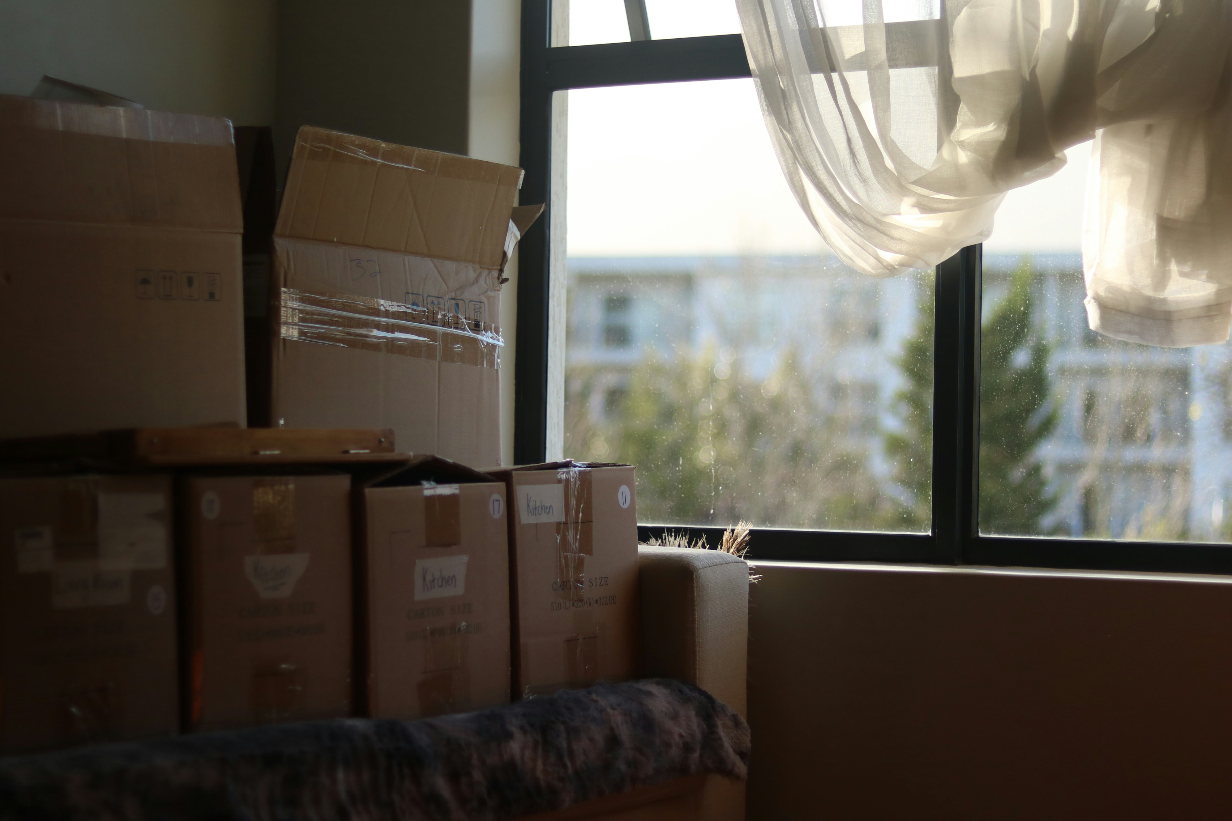Move In/Out Cleaning service in Northern Virginia